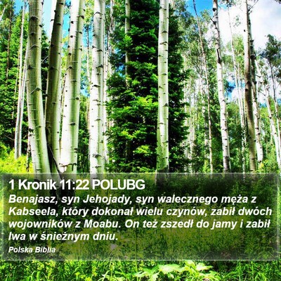 1 Kronik 11:22 POLUBG Bible Verse Image