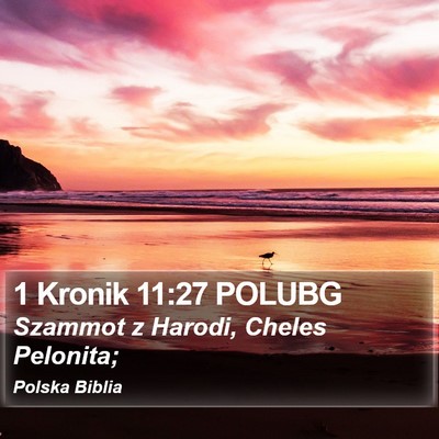 1 Kronik 11:27 POLUBG Bible Verse Image