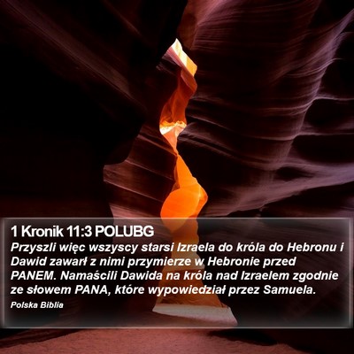 1 Kronik 11:3 POLUBG Bible Verse Image
