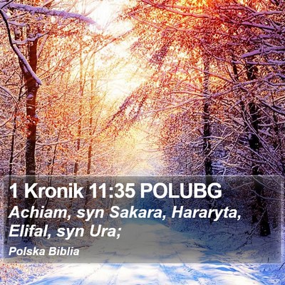 1 Kronik 11:35 POLUBG Bible Verse Image