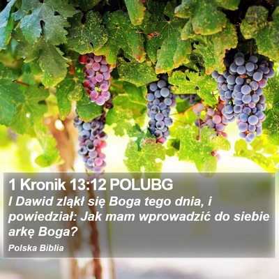 1 Kronik 13:12 POLUBG Bible Verse Image