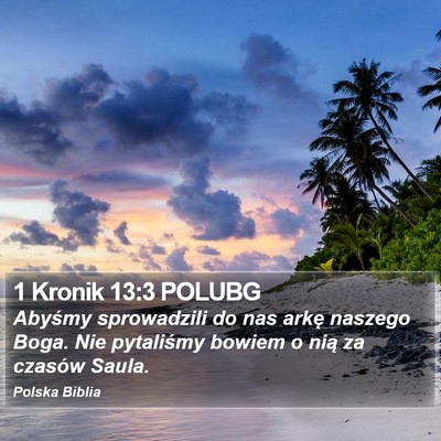 1 Kronik 13:3 POLUBG Bible Verse Image