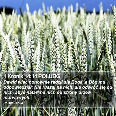 1 Kronik 14:14 POLUBG Bible Verse Image