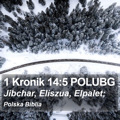 1 Kronik 14:5 POLUBG Bible Verse Image