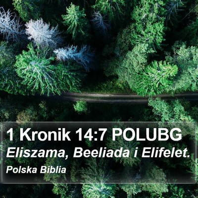 1 Kronik 14:7 POLUBG Bible Verse Image