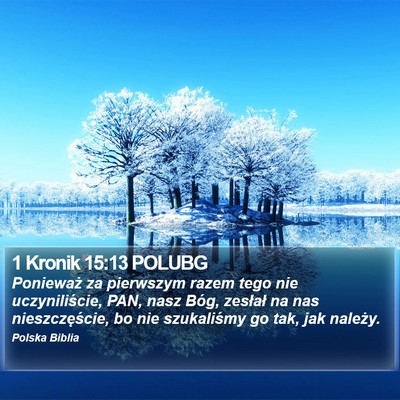 1 Kronik 15:13 POLUBG Bible Verse Image