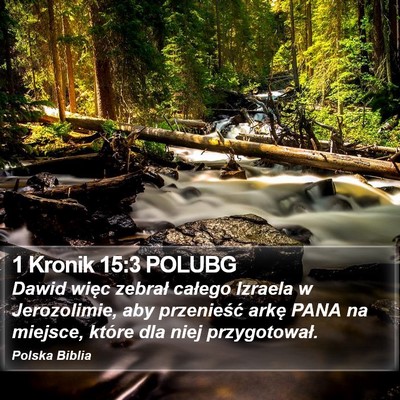 1 Kronik 15:3 POLUBG Bible Verse Image