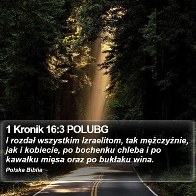 1 Kronik 16:3 POLUBG Bible Verse Image