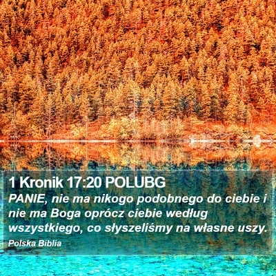 1 Kronik 17:20 POLUBG Bible Verse Image