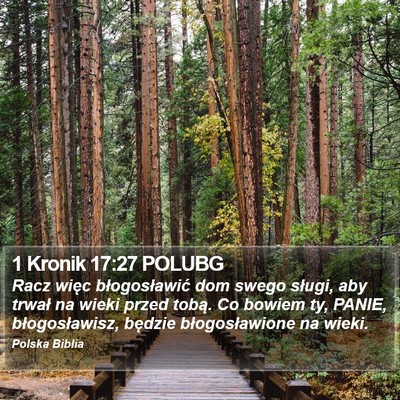 1 Kronik 17:27 POLUBG Bible Verse Image