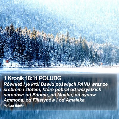 1 Kronik 18:11 POLUBG Bible Verse Image