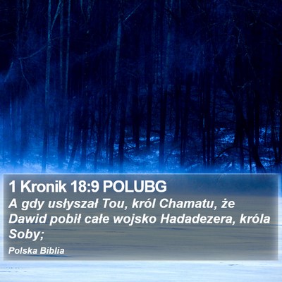 1 Kronik 18:9 POLUBG Bible Verse Image