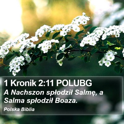 1 Kronik 2:11 POLUBG Bible Verse Image