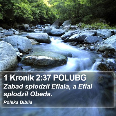1 Kronik 2:37 POLUBG Bible Verse Image