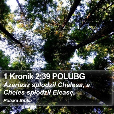 1 Kronik 2:39 POLUBG Bible Verse Image