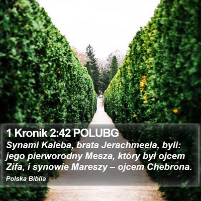 1 Kronik 2:42 POLUBG Bible Verse Image