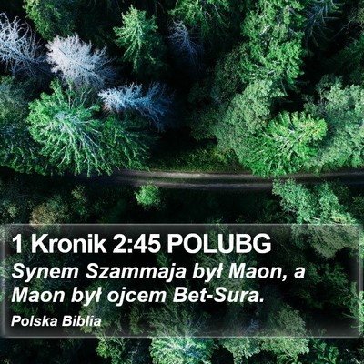 1 Kronik 2:45 POLUBG Bible Verse Image