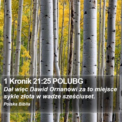 1 Kronik 21:25 POLUBG Bible Verse Image