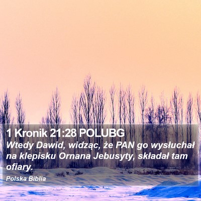 1 Kronik 21:28 POLUBG Bible Verse Image
