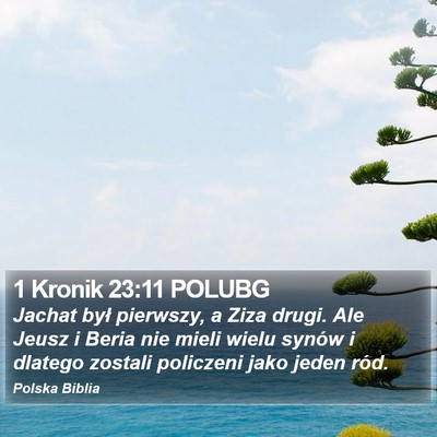 1 Kronik 23:11 POLUBG Bible Verse Image