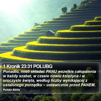 1 Kronik 23:31 POLUBG Bible Verse Image