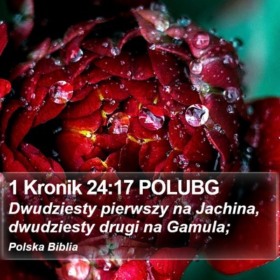 1 Kronik 24:17 POLUBG Bible Verse Image