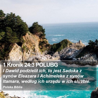 1 Kronik 24:3 POLUBG Bible Verse Image