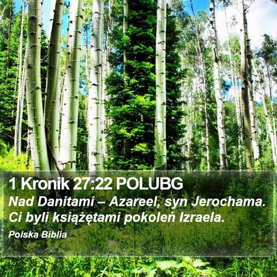 1 Kronik 27:22 POLUBG Bible Verse Image