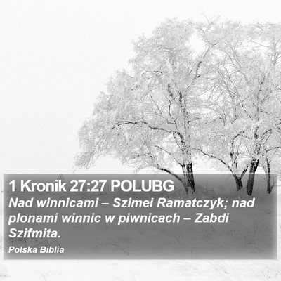 1 Kronik 27:27 POLUBG Bible Verse Image