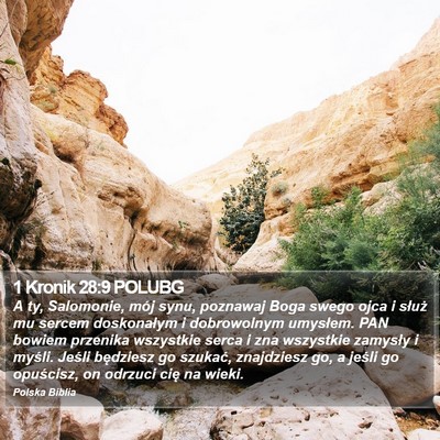 1 Kronik 28:9 POLUBG Bible Verse Image