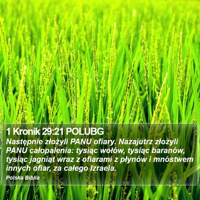 1 Kronik 29:21 POLUBG Bible Verse Image