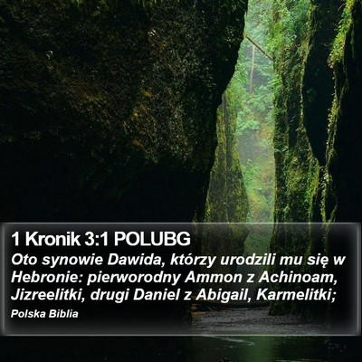 1 Kronik 3:1 POLUBG Bible Verse Image
