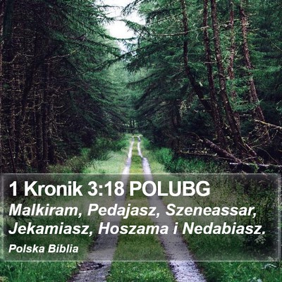 1 Kronik 3:18 POLUBG Bible Verse Image