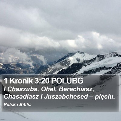 1 Kronik 3:20 POLUBG Bible Verse Image