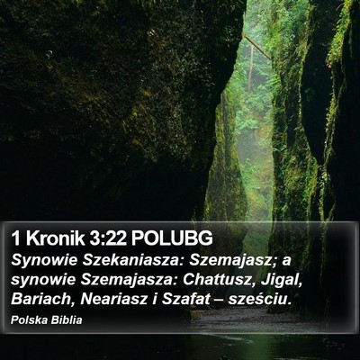 1 Kronik 3:22 POLUBG Bible Verse Image