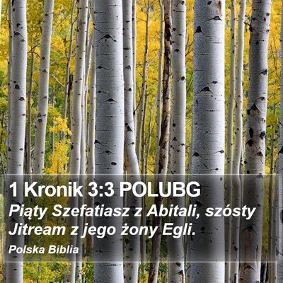 1 Kronik 3:3 POLUBG Bible Verse Image