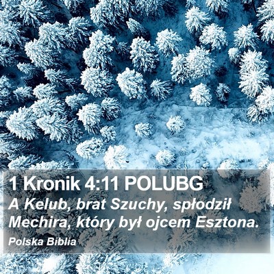 1 Kronik 4:11 POLUBG Bible Verse Image