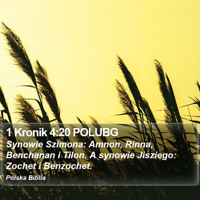 1 Kronik 4:20 POLUBG Bible Verse Image