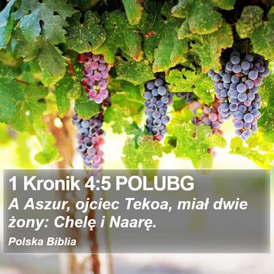 1 Kronik 4:5 POLUBG Bible Verse Image