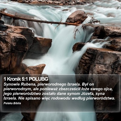 1 Kronik 5:1 POLUBG Bible Verse Image