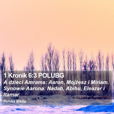 1 Kronik 6:3 POLUBG Bible Verse Image