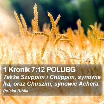 1 Kronik 7:12 POLUBG Bible Verse Image