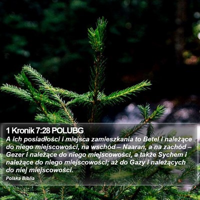 1 Kronik 7:28 POLUBG Bible Verse Image