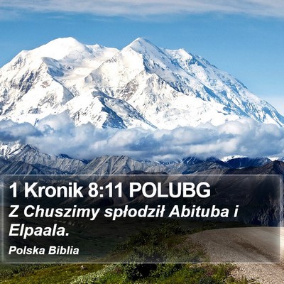 1 Kronik 8:11 POLUBG Bible Verse Image