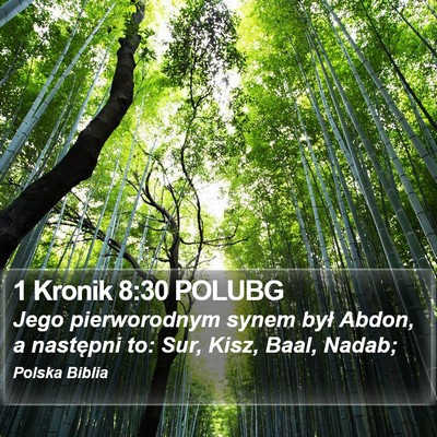 1 Kronik 8:30 POLUBG Bible Verse Image