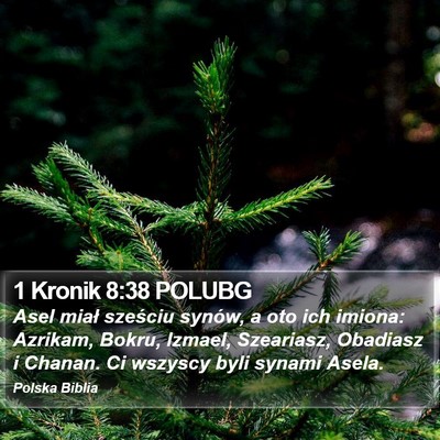 1 Kronik 8:38 POLUBG Bible Verse Image