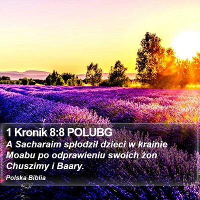 1 Kronik 8:8 POLUBG Bible Verse Image