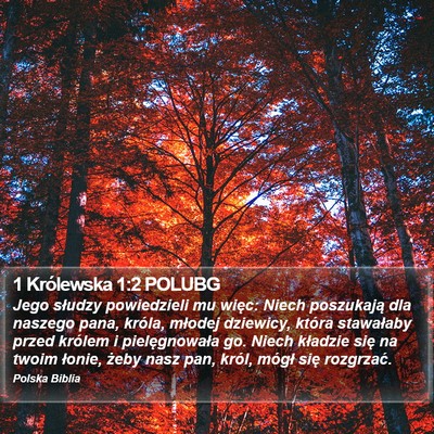1 Królewska 1:2 POLUBG Bible Verse Image