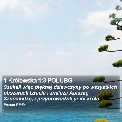 1 Królewska 1:3 POLUBG Bible Verse Image