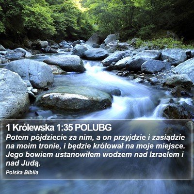 1 Królewska 1:35 POLUBG Bible Verse Image